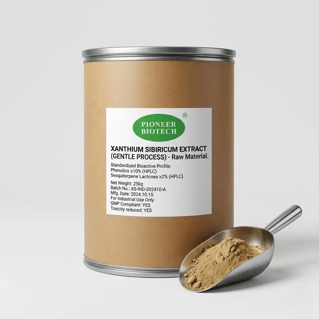 Xanthium Sibiricum Extract Quality Standards and Testing